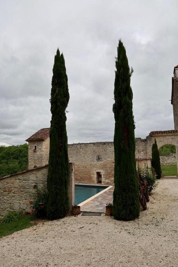 Chateau De Pleneselve Bon-Encontre ภายนอก รูปภาพ