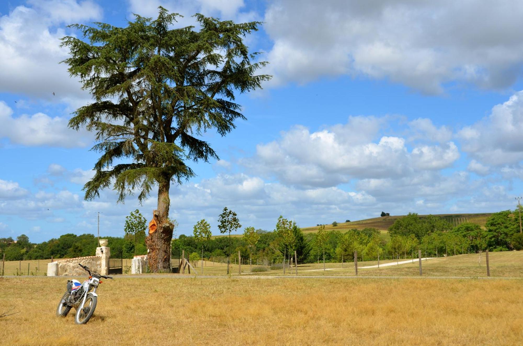 Chateau De Pleneselve Bon-Encontre ภายนอก รูปภาพ