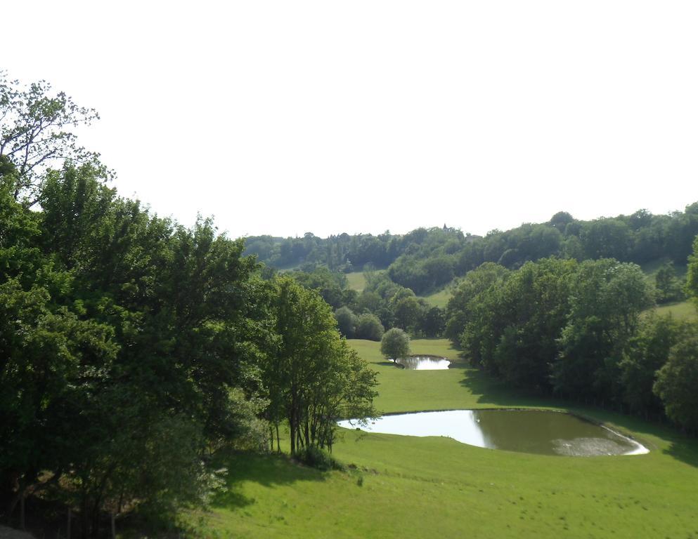 Chateau De Pleneselve Bon-Encontre ห้อง รูปภาพ